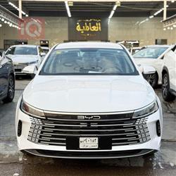 بي واي دي ديستروير 05